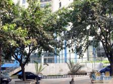 浪高会展国际 1室0厅 南 北