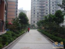 观音桥商圈旁边,正规三房二卫,住家装修,朝向好