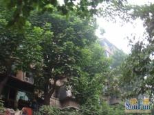 观音桥 桥北村二房