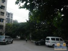 长航小区 2室1厅 东南