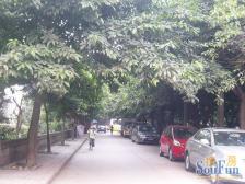 南坪轻轨站旁,正规两房户型方正,平街上1楼,装电梯