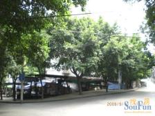 南坪 后堡二房29万