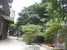 户型方正,配套设施齐全,生活便利,轻轨便捷