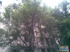 上两楼 南坪福利社南滨特区旁 户型方正