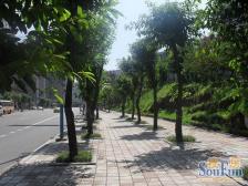 铜元局 帝豪峰五房170万