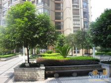 铜元局 帝豪峰三房180万