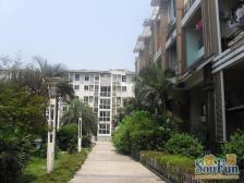 南坪菜园坝大桥南桥头 清水大三房 一线江景