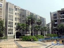 帝豪峰 3室2厅 南 北