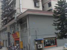 鸳鸯 南山花园二房