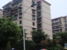 鸳鸯 南山花园一房21万