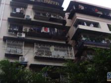 鸳鸯 南山花园二房37万