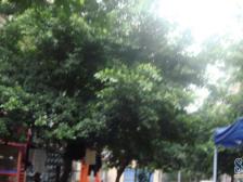 回兴 金佳步行街三房41万