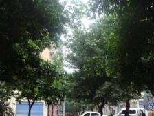 回兴 金佳步行街四房58万