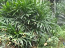 回兴 顺庆佳园三房43.8万