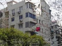 精装修采光好通风好一房适合小两口