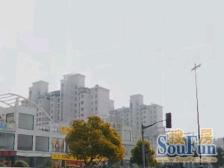 七宝·东碧林湾·3室·2厅