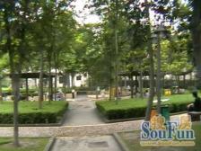 斜土路大木桥 · 轻工大楼 · 1室 · 1厅