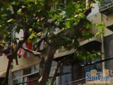 唐山路1380弄小区1室南朝向230.00万元/套出售