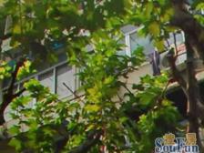 周家嘴路·唐山路1380弄·1室·0厅