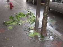 地段佳、楼层好、朝南两房、海华+卢湾