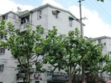 南塘浜路93弄 1室0厅 南