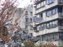 户型全明 一楼带天 井无遮挡 近地铁 诚意出售