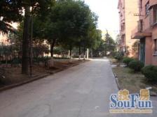 罗店镇中 精致全明 双南两房 房东诚意出售,满V唯1