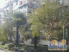 龙华·宛南一村·2室·1厅