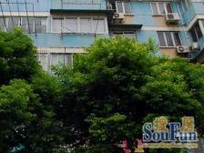 98年商品房 临河而居 环境优美