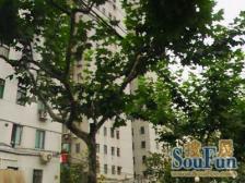 原始三房,地段好,近滨江,出行便利,配套成熟