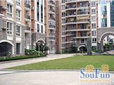 天鼎花园 1室1厅 南