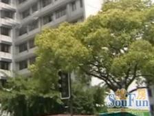 银浦大楼1室南朝向368.00万元/套出售