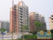 三林商圈地铁口优质电梯三房诚意出售