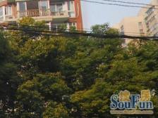 澳门家园3室2厅南