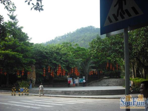 阳明山庄
