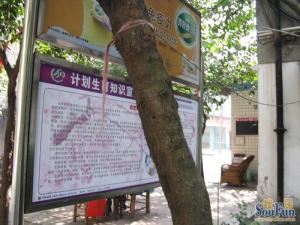 抚琴西北街26号2室1厅西南东北