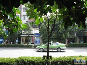 抚琴西路南一巷1号 3室1厅 东北