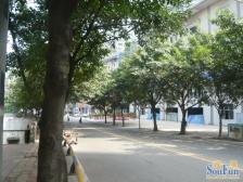 海棠溪正街 正规三房 带装修,单价便宜,楼层好