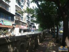 房子是正两房 看中庭 安静 喜来登夜景很漂亮