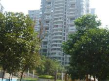 海棠溪 聚丰江山里一房20.1万