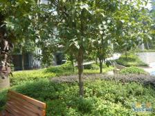 聚丰江山里 4室2厅 东