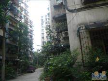 南坪东路 园丁园二房43万