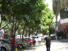 步行街旁 正规4房 交通方便