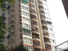 南坪海峡左岸 正规一室一厅 住家装修 近轻轨