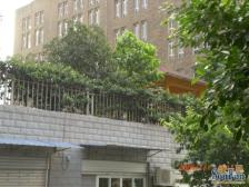 单价便宜 业主安心卖 看房方便