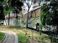 闻喜路1223弄 1室0厅 南