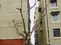 小户型,环境优美,居家装修,精装好房