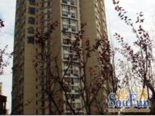 2004年商品房,双朝南大落地窗设计,高租息,复欣物业