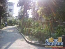 襄阳南路公房,精装南北通3房,向阳和位育,中间楼层边套