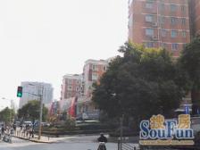 近地铁 刚需上车 必看好房